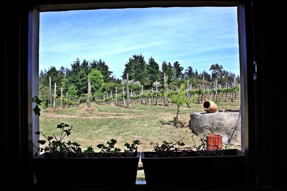 H&Ap Rural Merrutxu Ibarrangelu Bagian luar foto